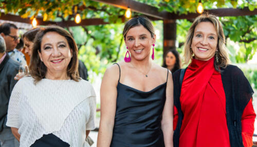 Teresa Alarcón, Carolina Vivallo y Pamela Navarro